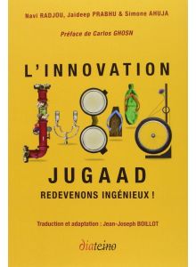 L'innovation Jugaad